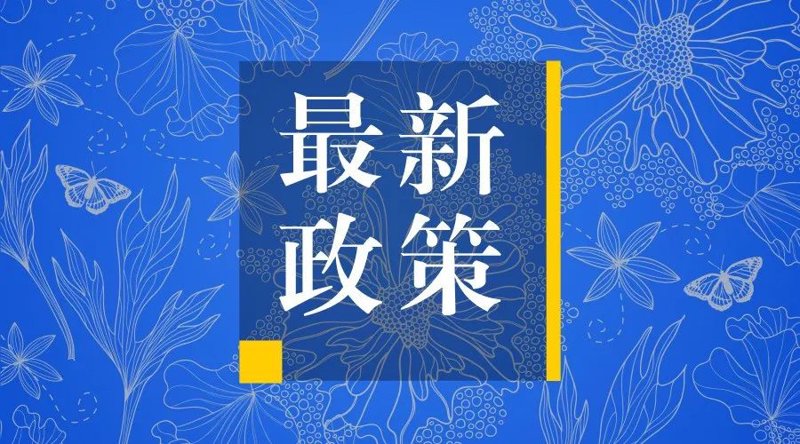 政府新闻：解读最新政策变化