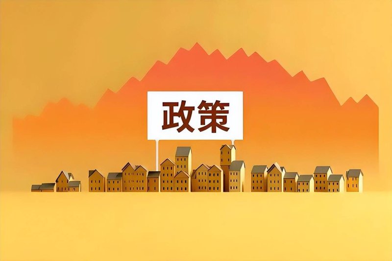 访谈记录：城市治理创新案例分析